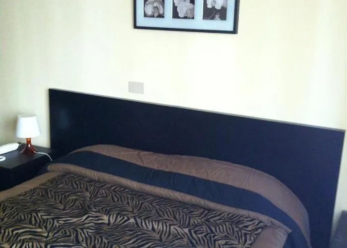 밀라네시나 알라시오